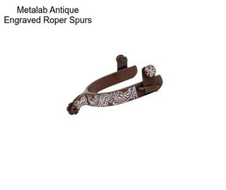 Metalab Antique Engraved Roper Spurs