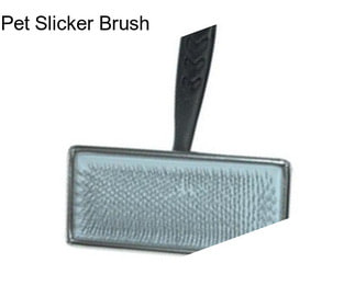 Pet Slicker Brush