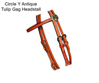 Circle Y Antique Tulip Gag Headstall