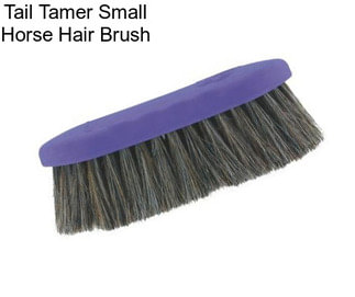 Tail Tamer Small Horse Hair Brush