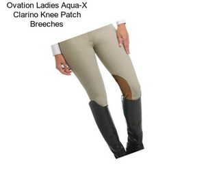 Ovation Ladies Aqua-X Clarino Knee Patch Breeches