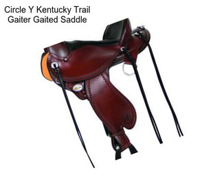 Circle Y Kentucky Trail Gaiter Gaited Saddle