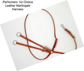 Performers 1st Choice Leather Martingale Harness