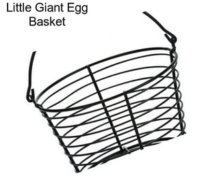 Little Giant Egg Basket