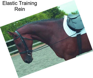 Elastic Training Rein