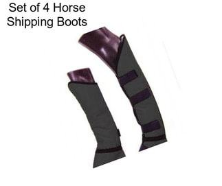 Set of 4 Horse Shipping Boots