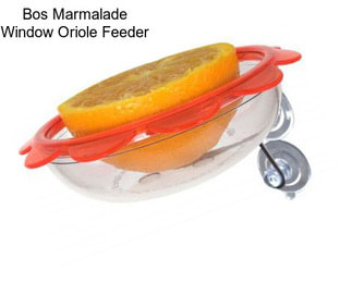 Bos Marmalade Window Oriole Feeder