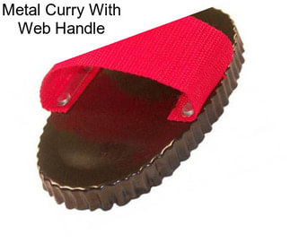Metal Curry With Web Handle