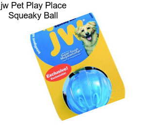 Jw Pet Play Place Squeaky Ball