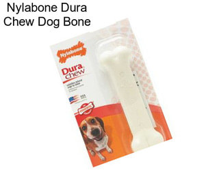 Nylabone Dura Chew Dog Bone