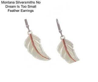 Montana Silversmiths No Dream Is Too Small Feather Earrings