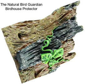 The Natural Bird Guardian Birdhouse Protector