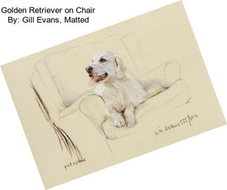 Golden Retriever on Chair By: Gill Evans, Matted
