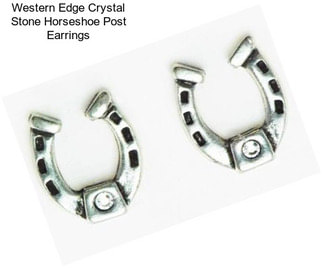 Western Edge Crystal Stone Horseshoe Post Earrings