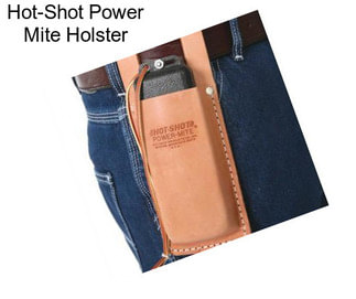 Hot-Shot Power Mite Holster