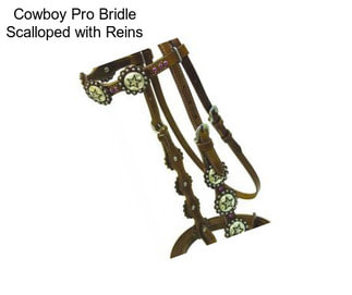 Cowboy Pro Bridle Scalloped with Reins