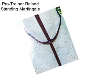 Pro-Trainer Raised Standing Martingale