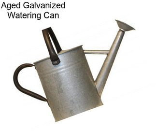 Aged Galvanized Watering Can