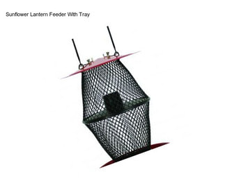 Sunflower Lantern Feeder With Tray