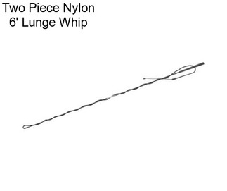 Two Piece Nylon 6\' Lunge Whip