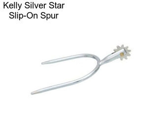 Kelly Silver Star Slip-On Spur