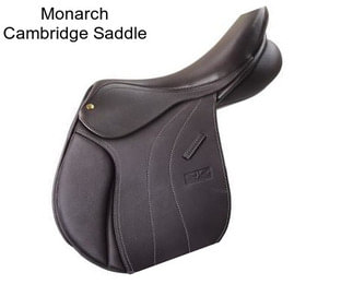 Monarch Cambridge Saddle