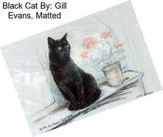 Black Cat By: Gill Evans, Matted