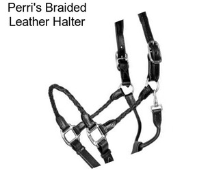 Perri\'s Braided Leather Halter