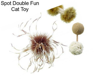 Spot Double Fun Cat Toy