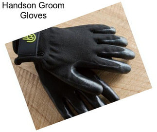 Handson Groom Gloves