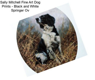 Sally Mitchell Fine Art Dog Prints - Black and White Springer Ov