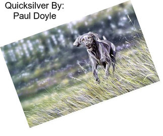 Quicksilver By: Paul Doyle