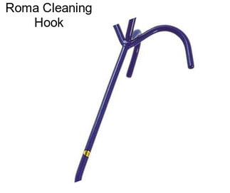 Roma Cleaning Hook