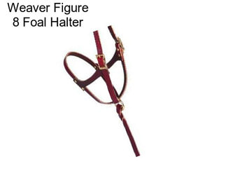 Weaver Figure 8 Foal Halter