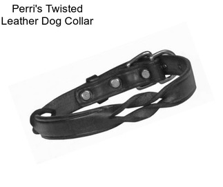 Perri\'s Twisted Leather Dog Collar