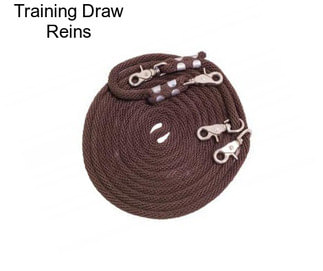 Training Draw Reins