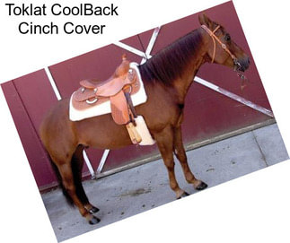 Toklat CoolBack Cinch Cover