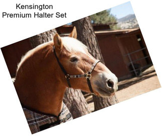 Kensington Premium Halter Set