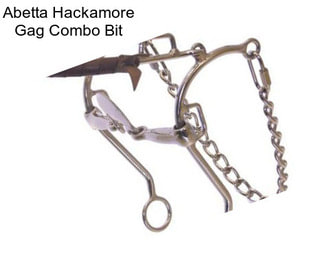 Abetta Hackamore Gag Combo Bit