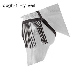 Tough-1 Fly Veil