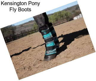 Kensington Pony Fly Boots