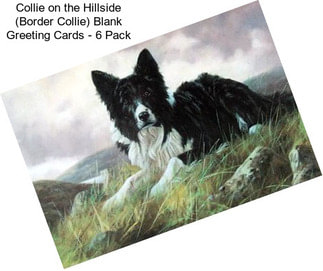 Collie on the Hillside (Border Collie) Blank Greeting Cards - 6 Pack