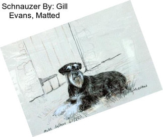Schnauzer By: Gill Evans, Matted