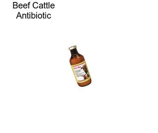 Beef Cattle Antibiotic