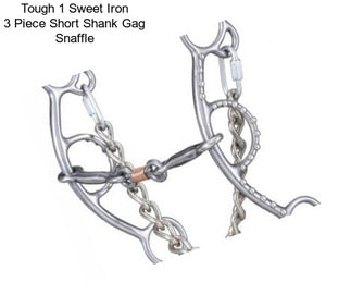 Tough 1 Sweet Iron 3 Piece Short Shank Gag Snaffle