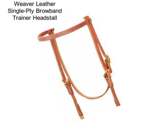 Weaver Leather Single-Ply Browband Trainer Headstall