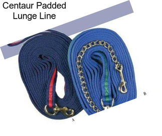 Centaur Padded Lunge Line