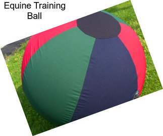 Equine Training Ball