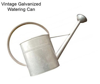 Vintage Galvanized Watering Can