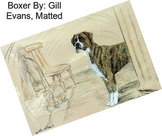 Boxer By: Gill Evans, Matted